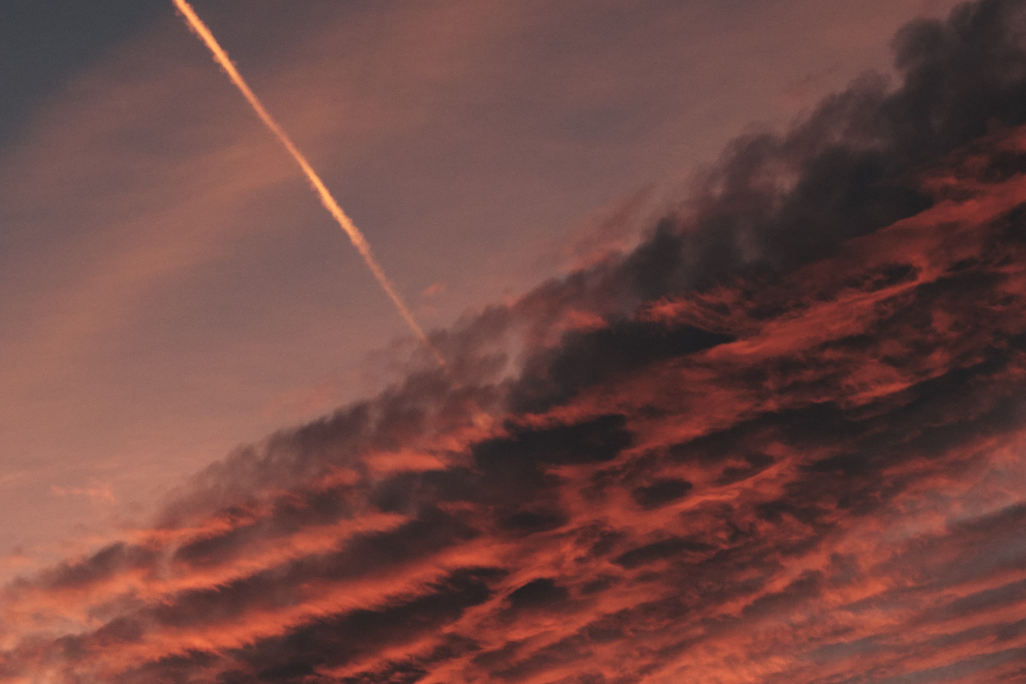 Photography from Balcony Views - Intimate perspectives and everyday moments. Cover image showcasing urban photography with 4 photos in collection.