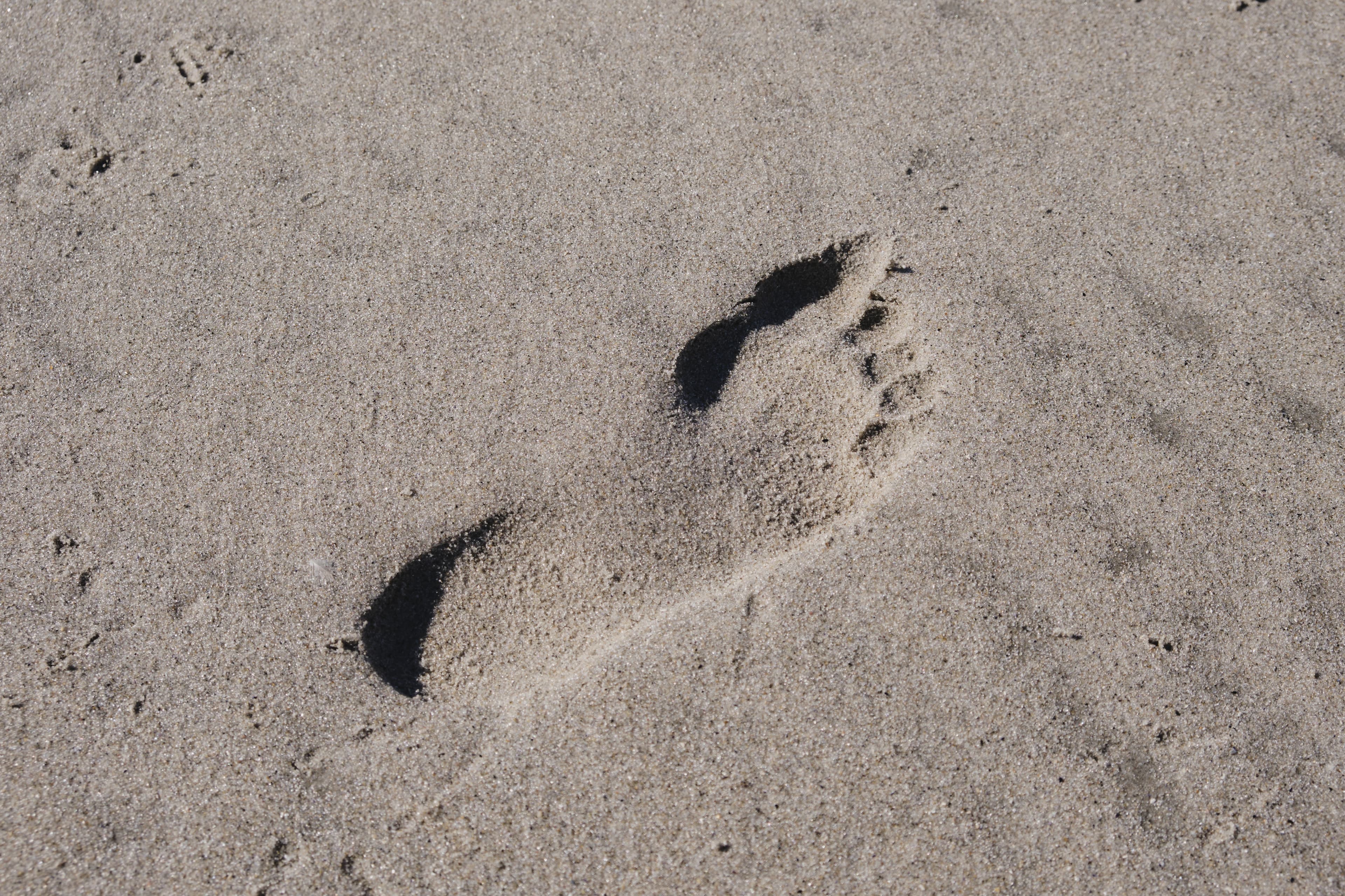 New Jersey photography - Hidden gems and natural beauty in the Garden State. Photo 4 of 7 showcasing Nature scenery and landscapes.