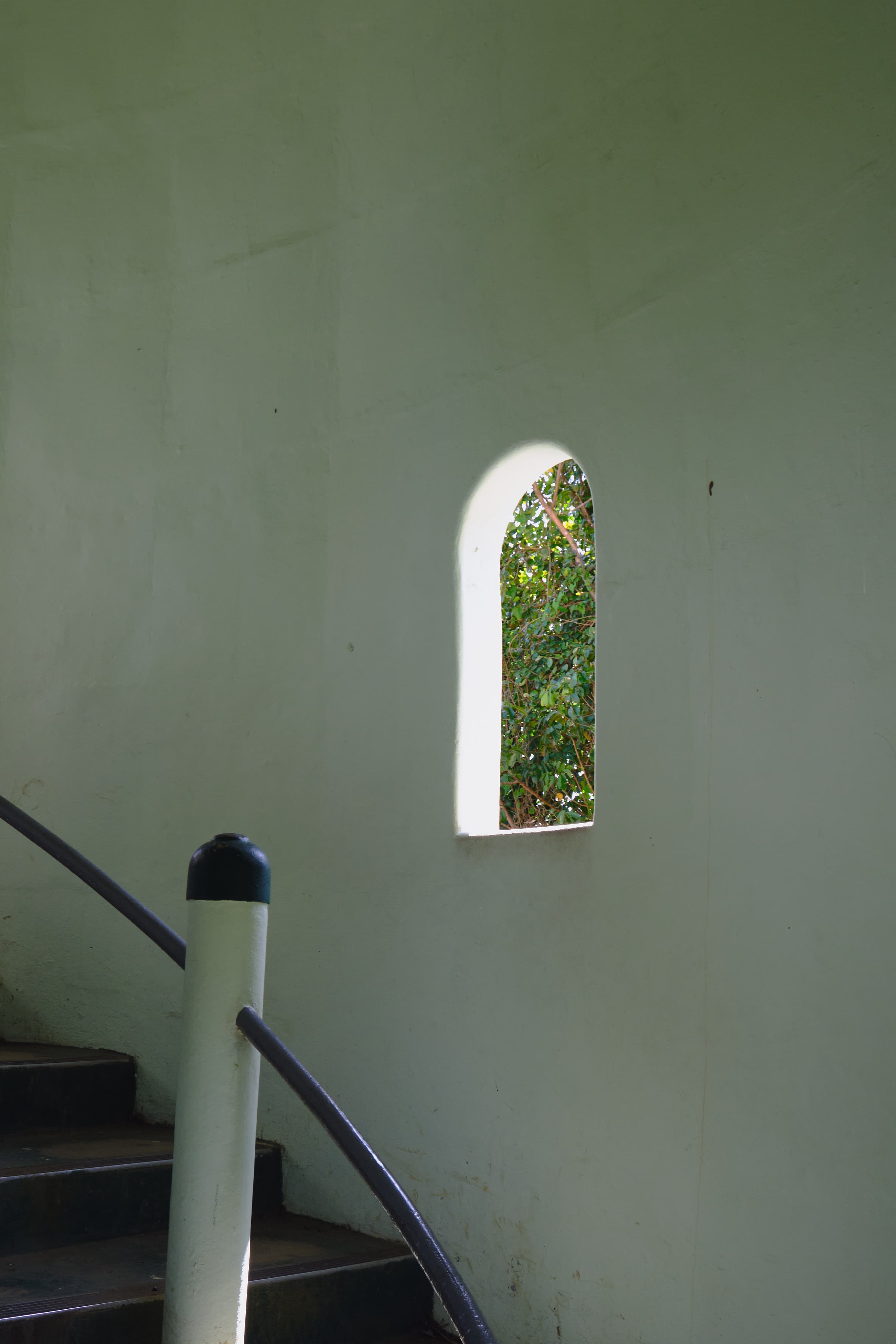 Photography from Puerto Rico - Tropical paradise with vibrant culture and stunning coastlines. Cover image showcasing nature photography with 16 photos in collection.