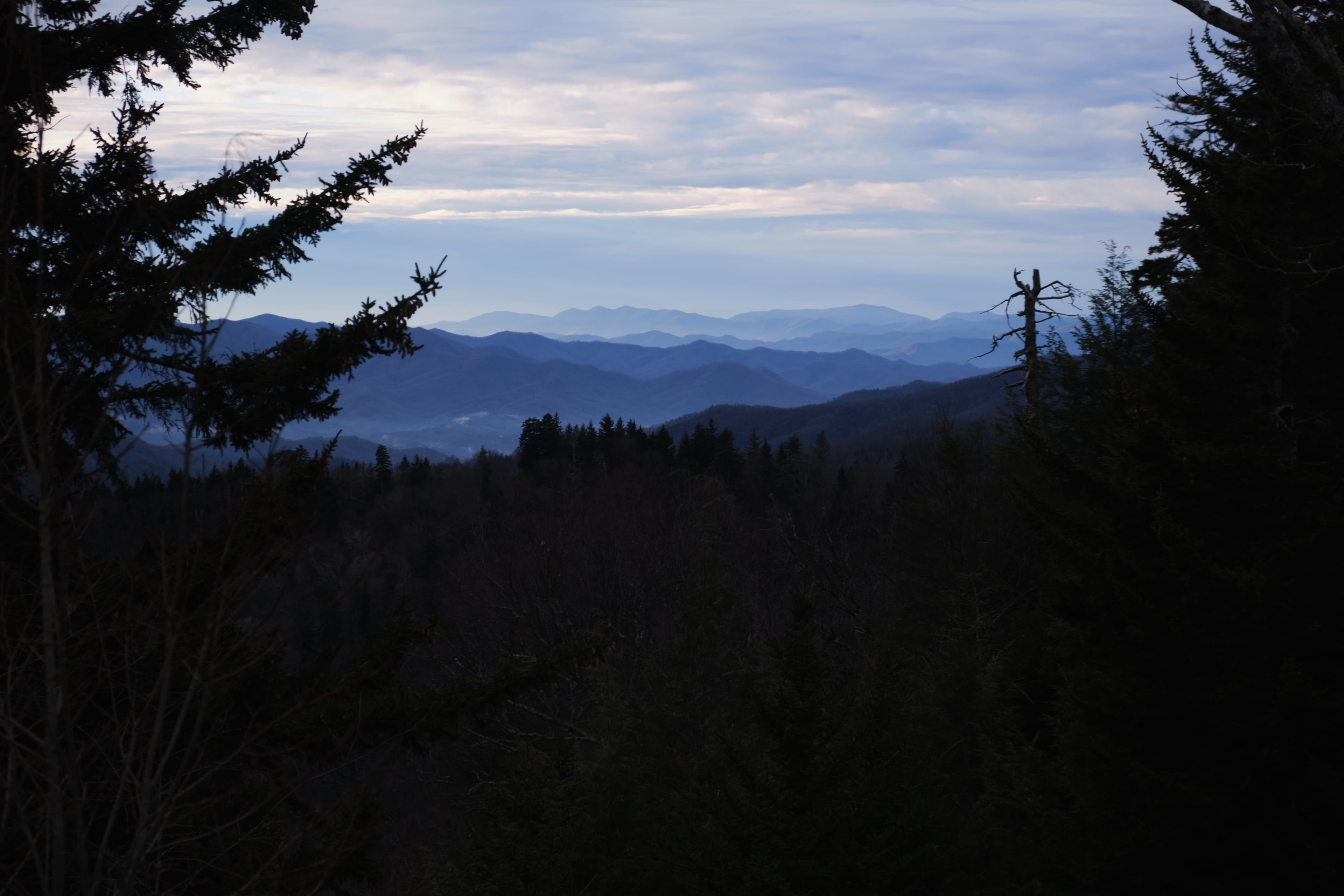 Smoky Mountains photography - Misty peaks and ancient forests in the Appalachian range. Photo 4 of 5 showcasing Nature scenery and landscapes.