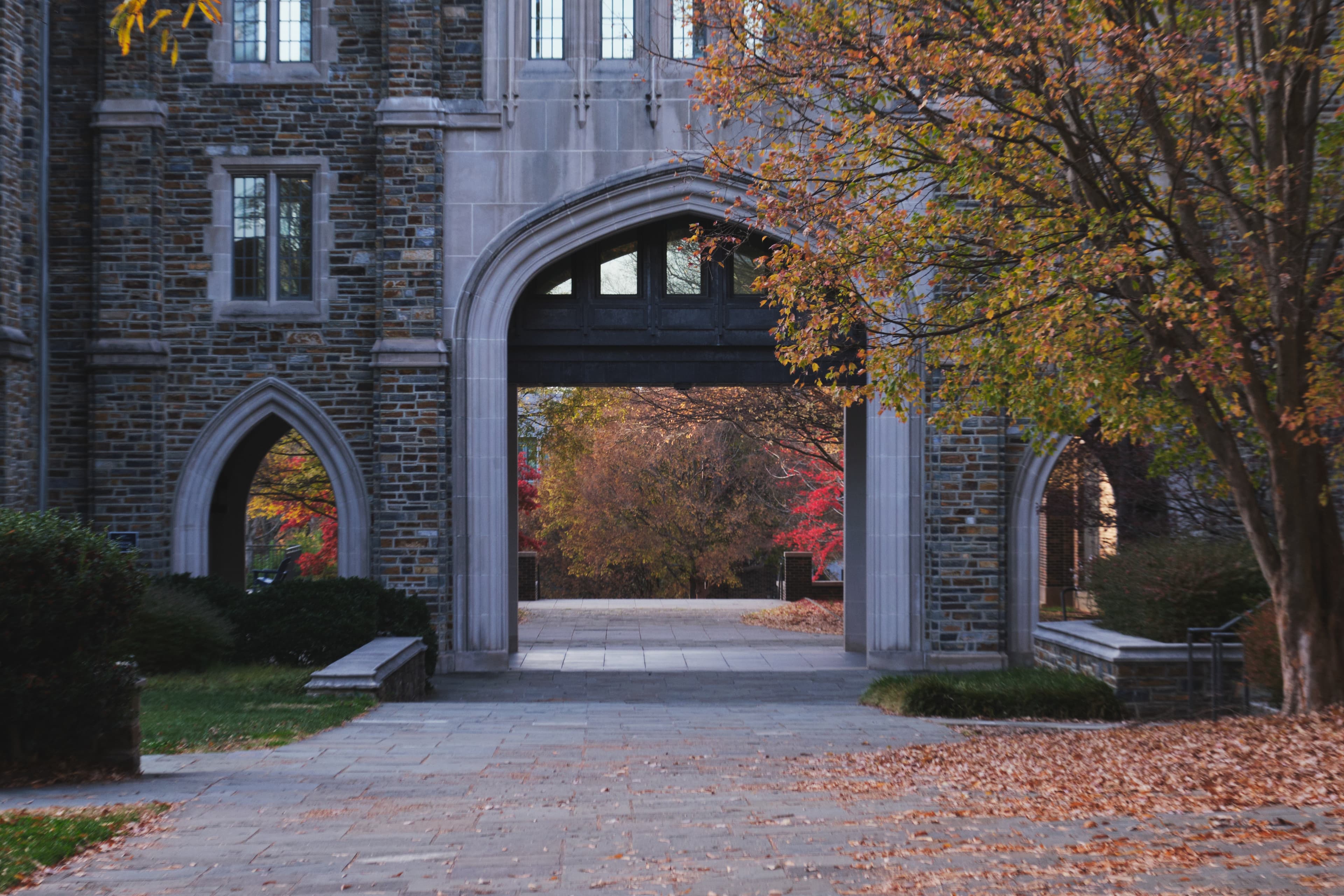 Smoky Mountains photography - Misty peaks and ancient forests in the Appalachian range. Photo 5 of 5 showcasing Nature scenery and landscapes.