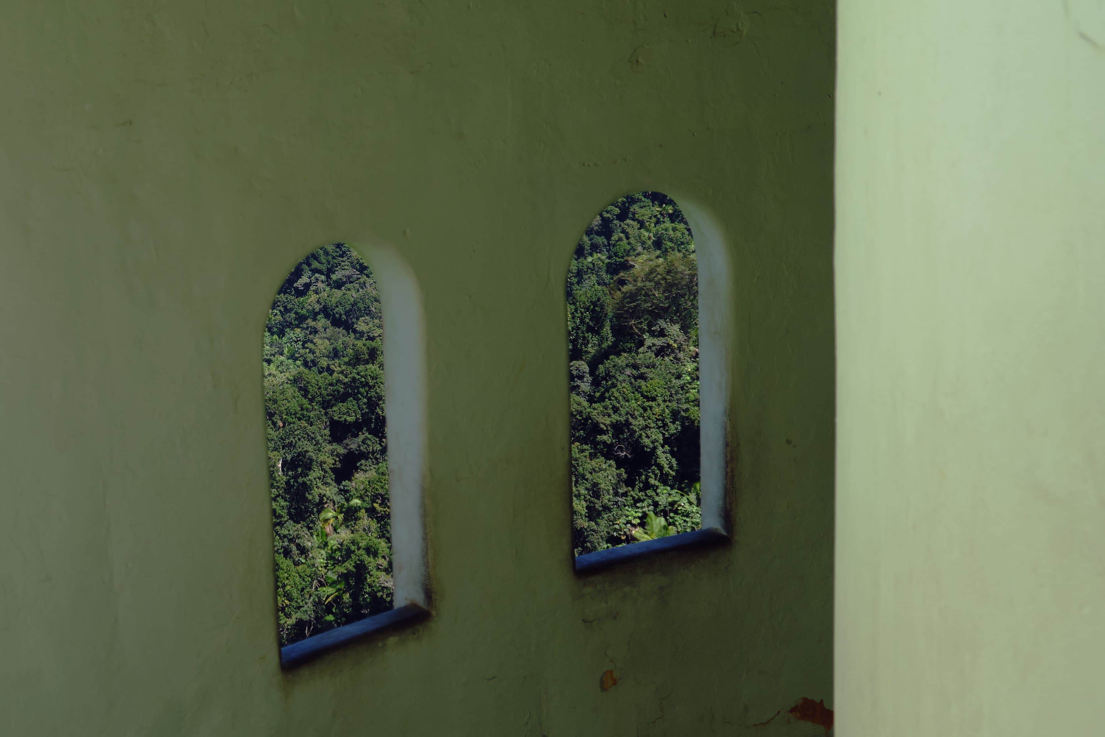 Puerto Rico photography - Tropical paradise with vibrant culture and stunning coastlines. Photo 2 of 16 showcasing Nature scenery and landscapes.