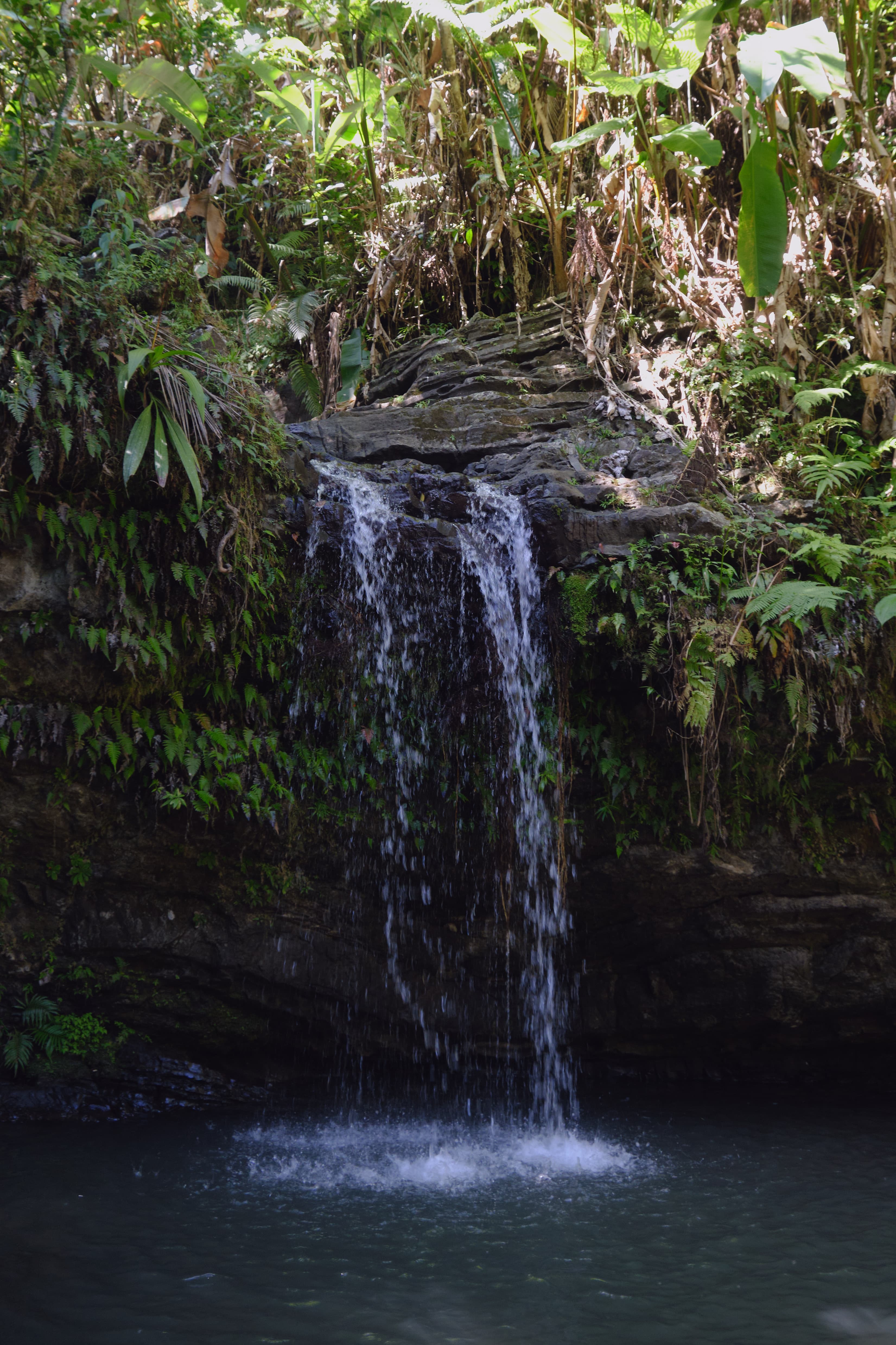 Puerto Rico photography - Tropical paradise with vibrant culture and stunning coastlines. Photo 3 of 16 showcasing Nature scenery and landscapes.