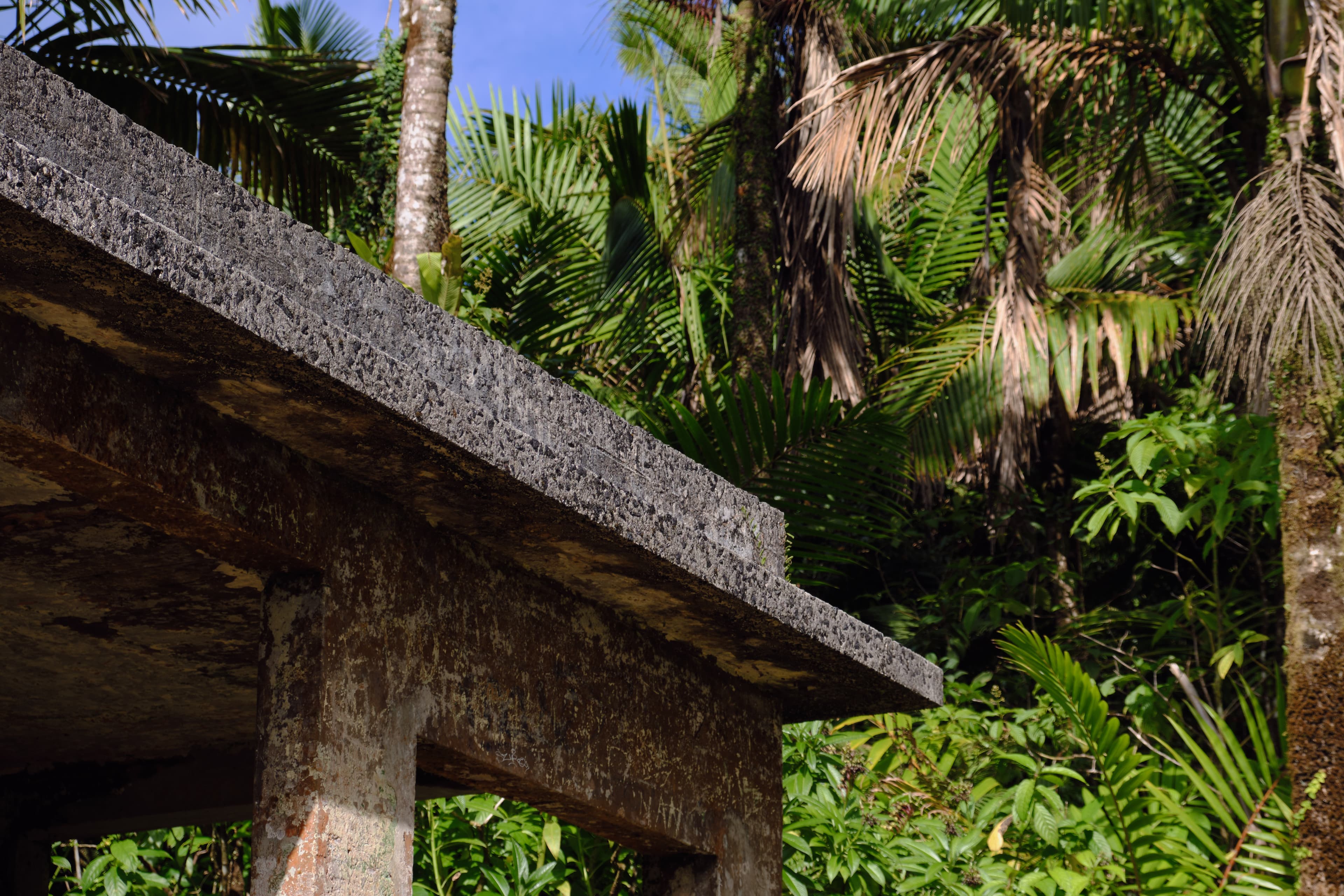 Puerto Rico photography - Tropical paradise with vibrant culture and stunning coastlines. Photo 5 of 16 showcasing Nature scenery and landscapes.