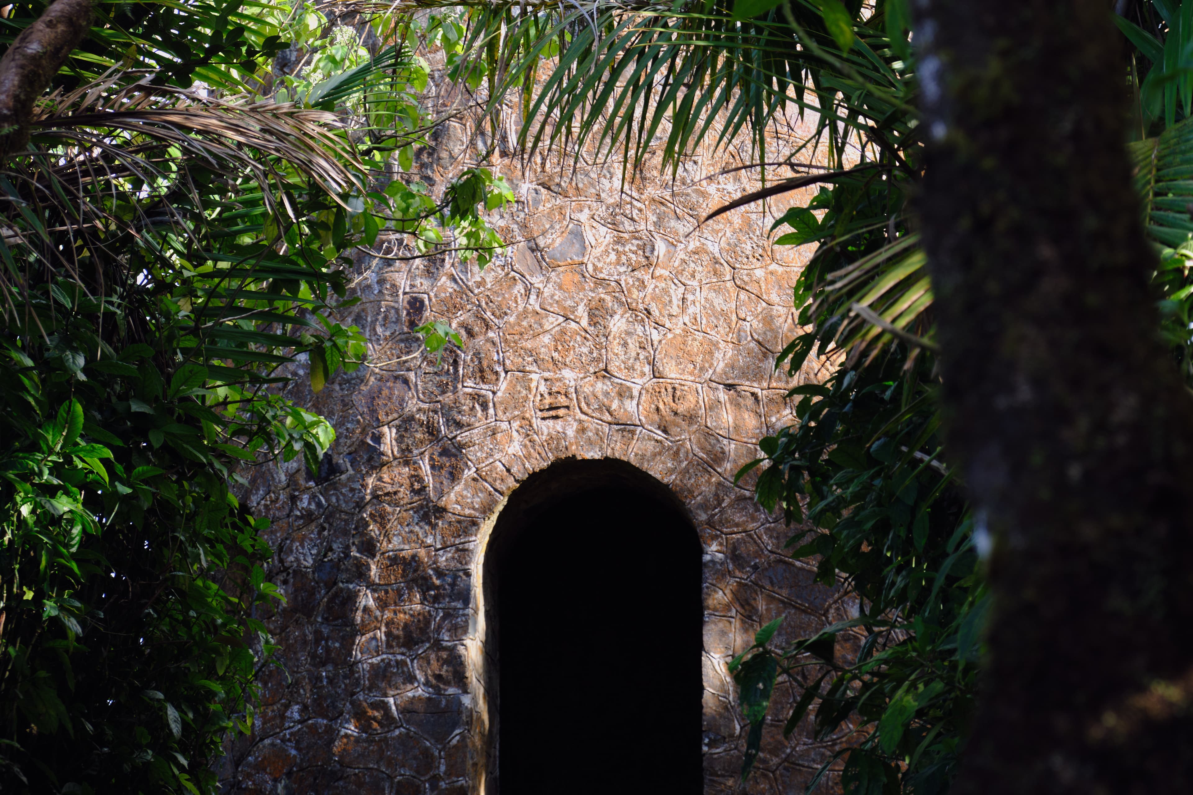 Puerto Rico photography - Tropical paradise with vibrant culture and stunning coastlines. Photo 6 of 16 showcasing Nature scenery and landscapes.