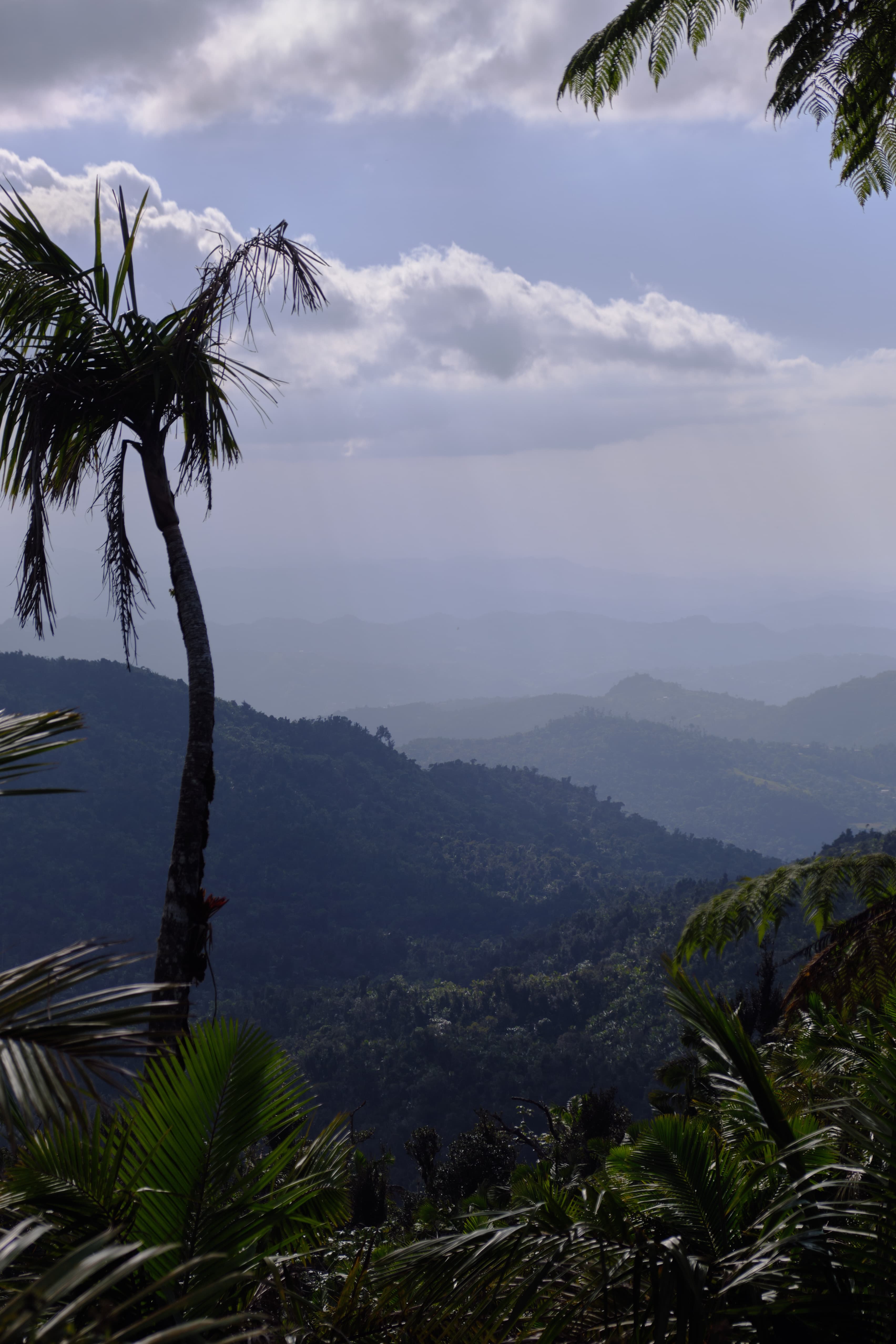 Puerto Rico photography - Tropical paradise with vibrant culture and stunning coastlines. Photo 8 of 16 showcasing Nature scenery and landscapes.