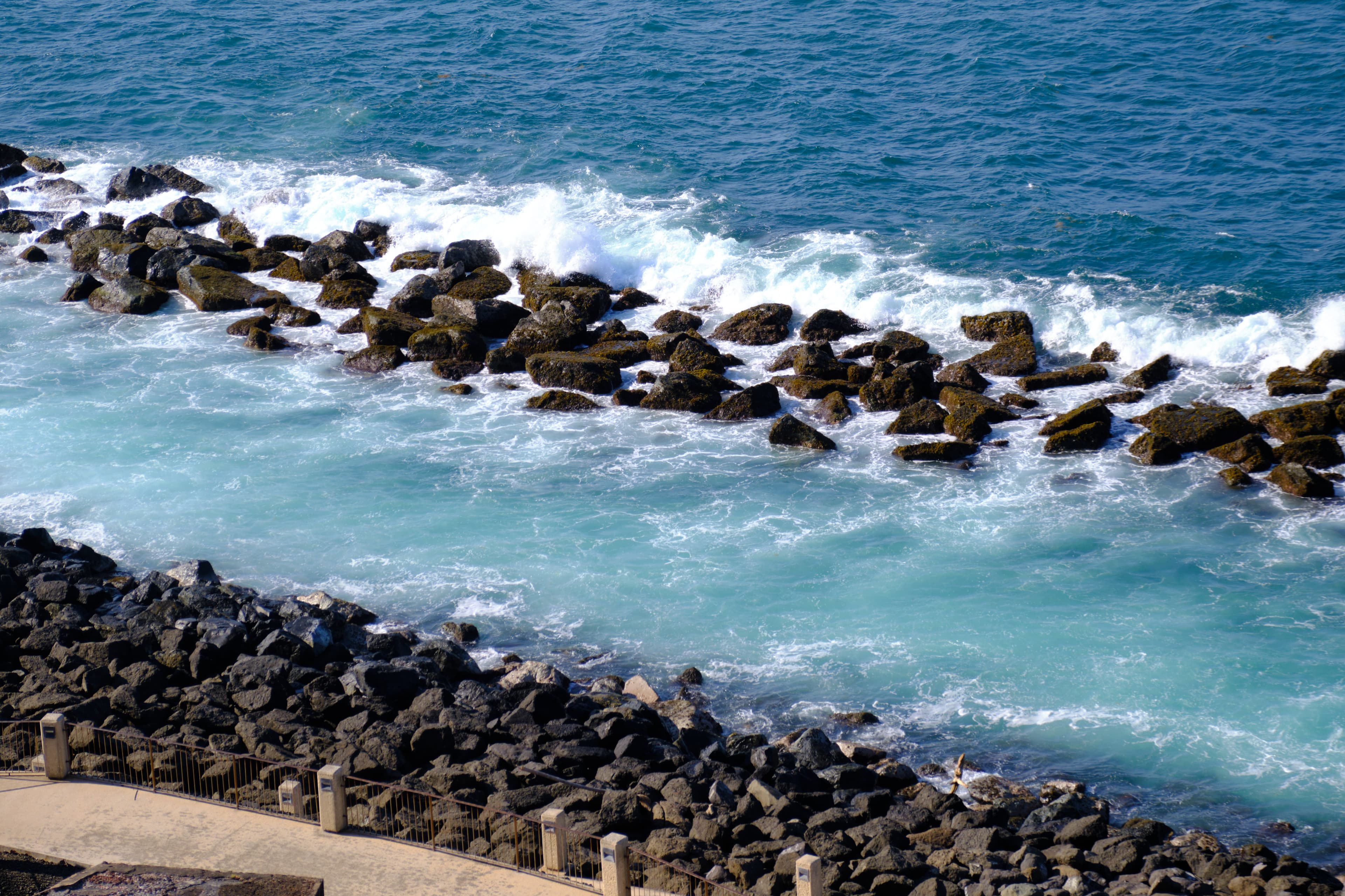 Puerto Rico photography - Tropical paradise with vibrant culture and stunning coastlines. Photo 12 of 16 showcasing Nature scenery and landscapes.